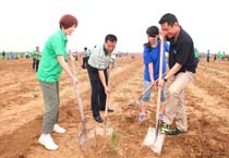 �����م��c��(n��i)�ɹ�ֲ��(sh��)���(d��ng)