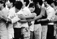 ���������y����Ƹ������ƴ��